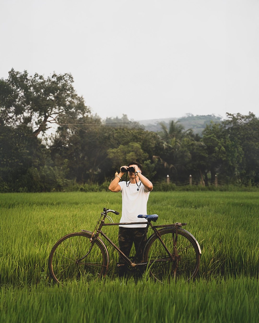 Photographer with a vintage bicycle in a green rice field