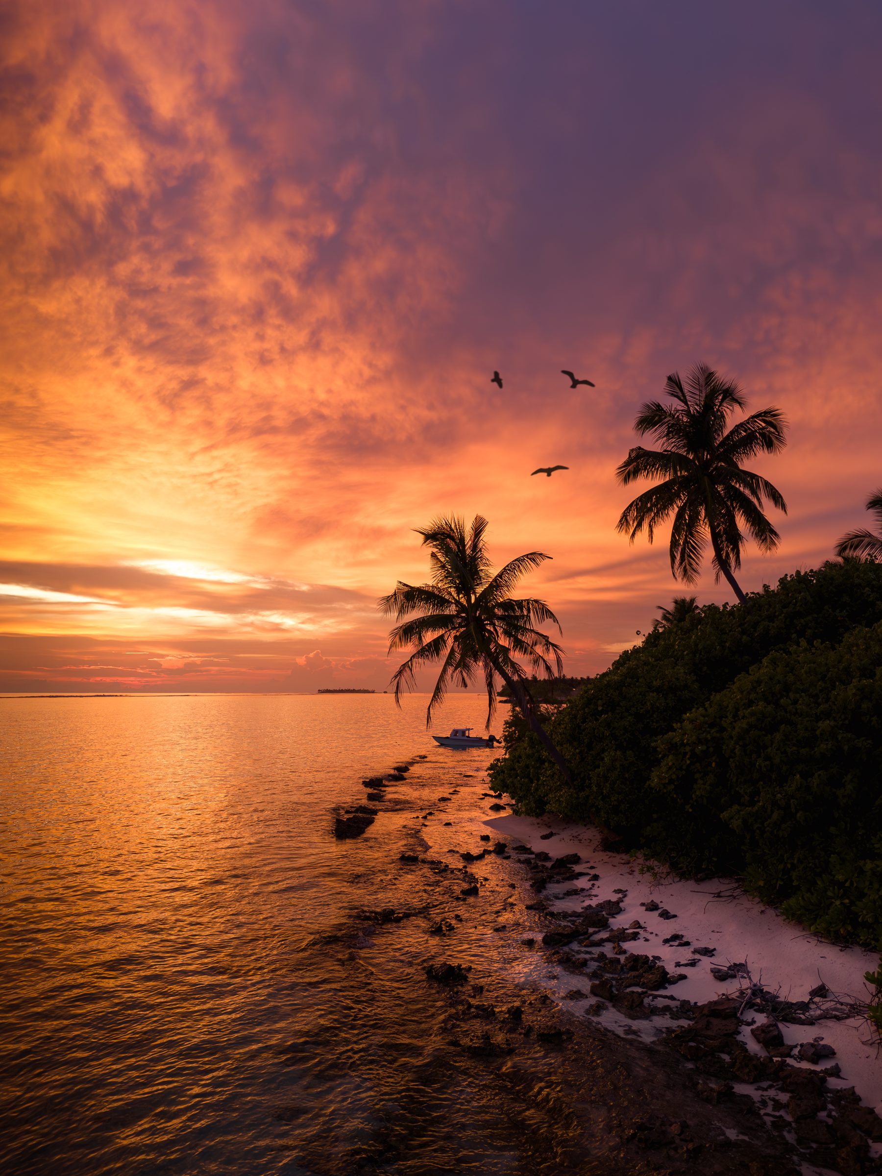 Fiery tropical sunset over the ocean with palm trees and birds